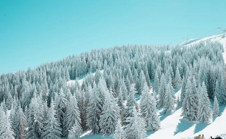 Dream Milmari L12 Apartman Kopaonik Eksteriør bilde